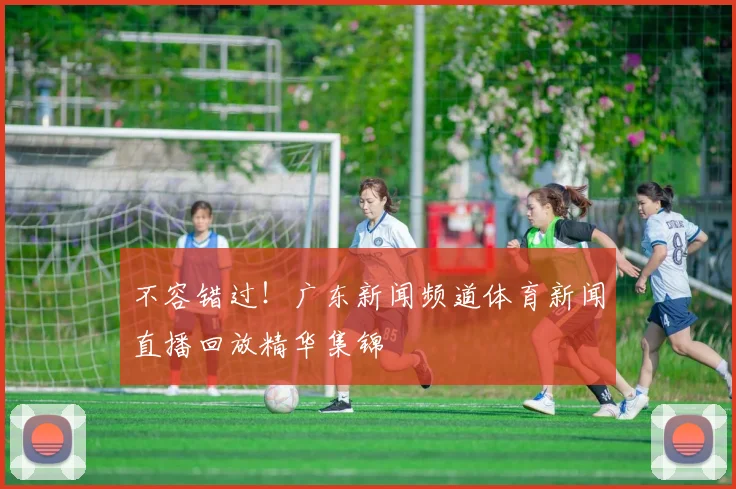 不容错过！广东新闻频道体育新闻直播回放精华集锦