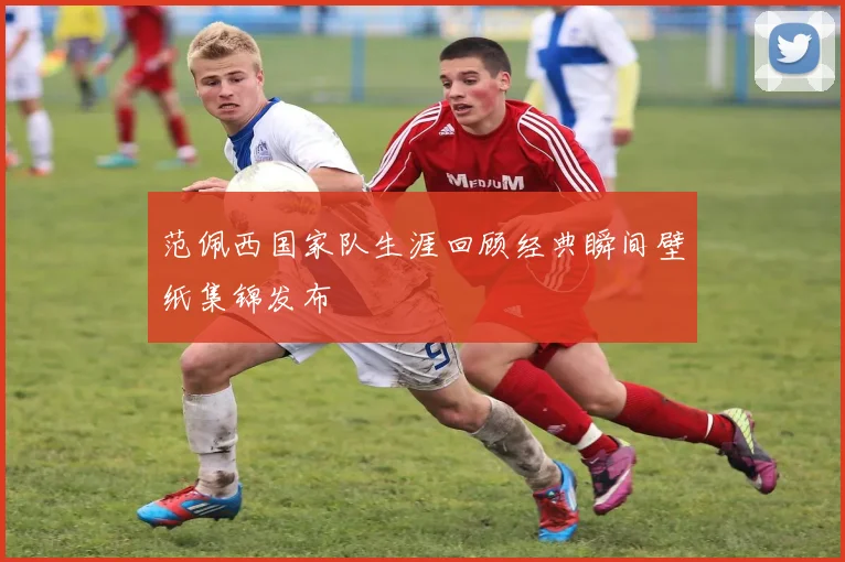范佩西国家队生涯回顾经典瞬间壁纸集锦发布