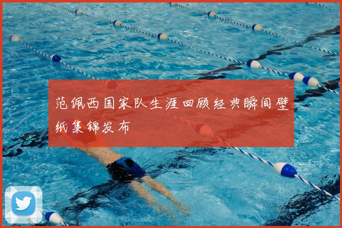 范佩西国家队生涯回顾经典瞬间壁纸集锦发布