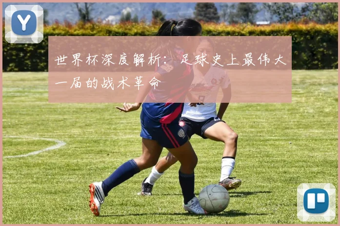 世界杯深度解析：足球史上最伟大一届的战术革命