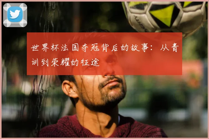 世界杯法国夺冠背后的故事：从青训到荣耀的征途