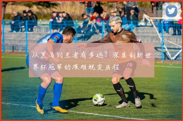 从黑马到王者有多远？深度剖析世界杯冠军的艰难蜕变历程